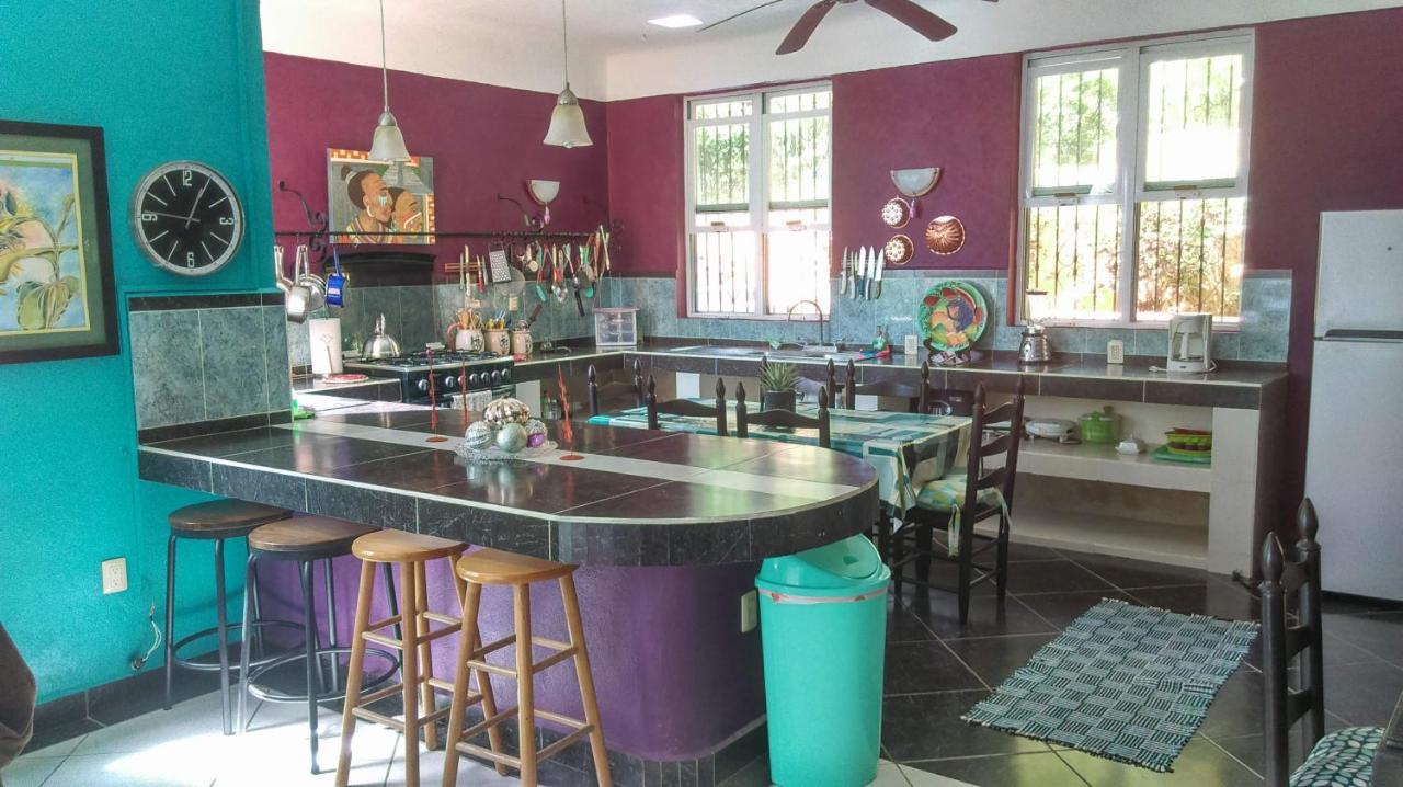 Hotel Agave-Blue Bacalar Zewnętrze zdjęcie